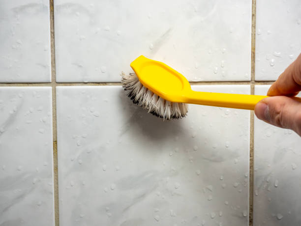 Best Kitchen Mold Remediation in Lakemore, OH