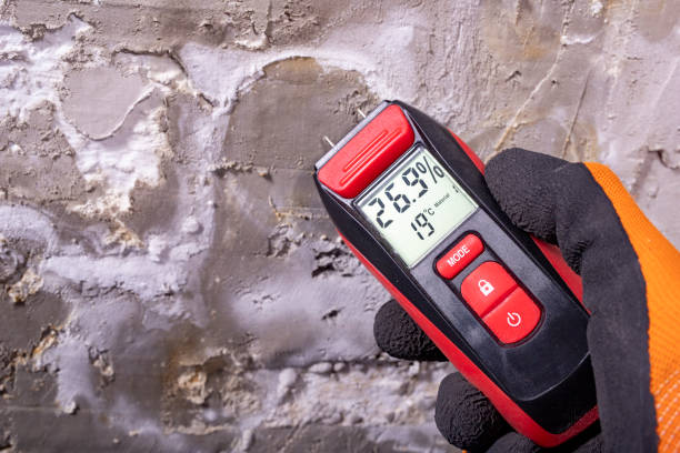 Best Post-Flood Mold Remediation in Lakemore, OH