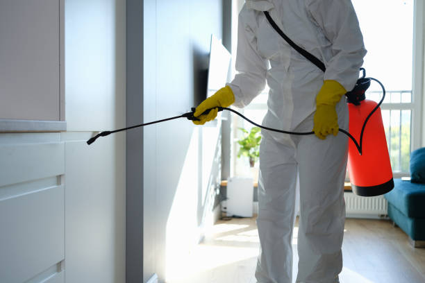 Best Residential Mold Remediation in Lakemore, OH